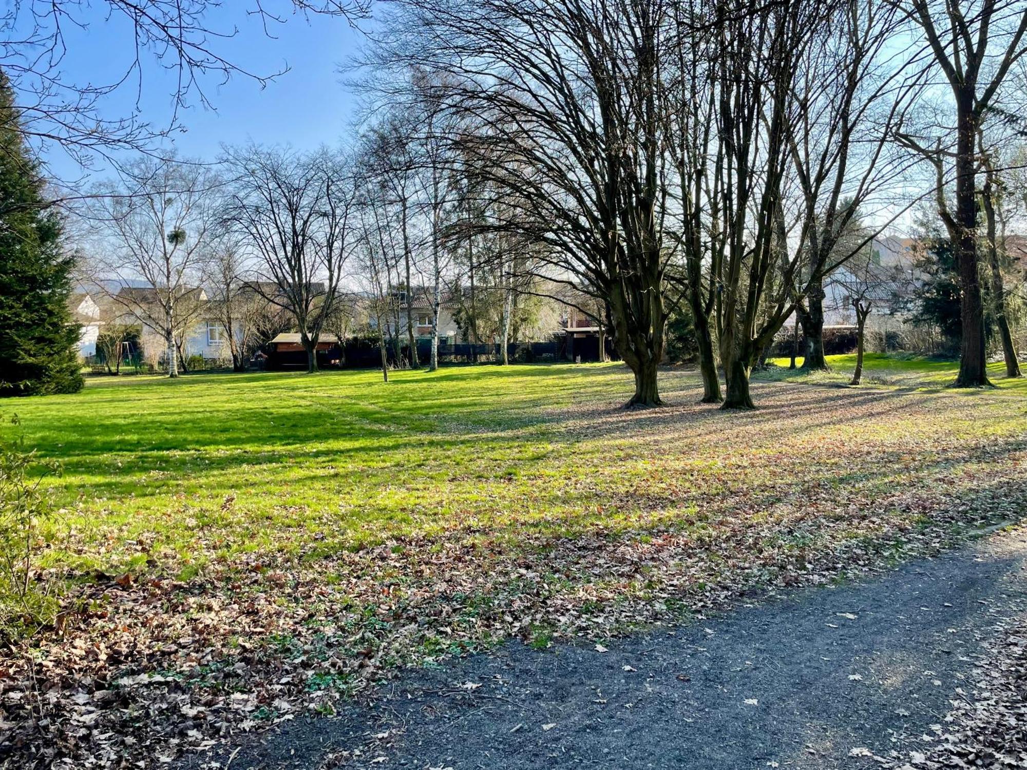 Apartment By The Park, For Bike Lovers Alsfeld Esterno foto